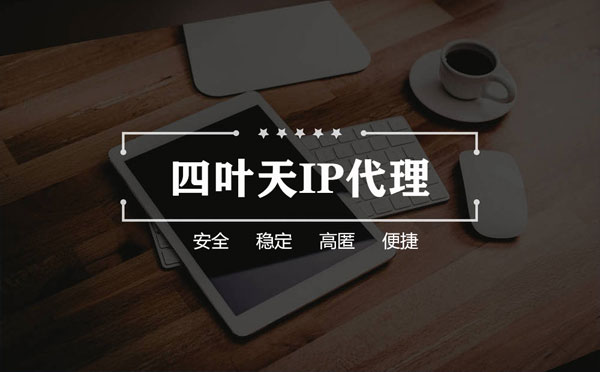 【攀枝花代理IP】如何快速搭建代理IP？怎么检查代理的效果？