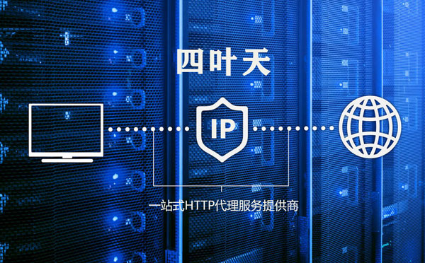 【攀枝花代理IP】代理IP的主要用途和使用注意事项